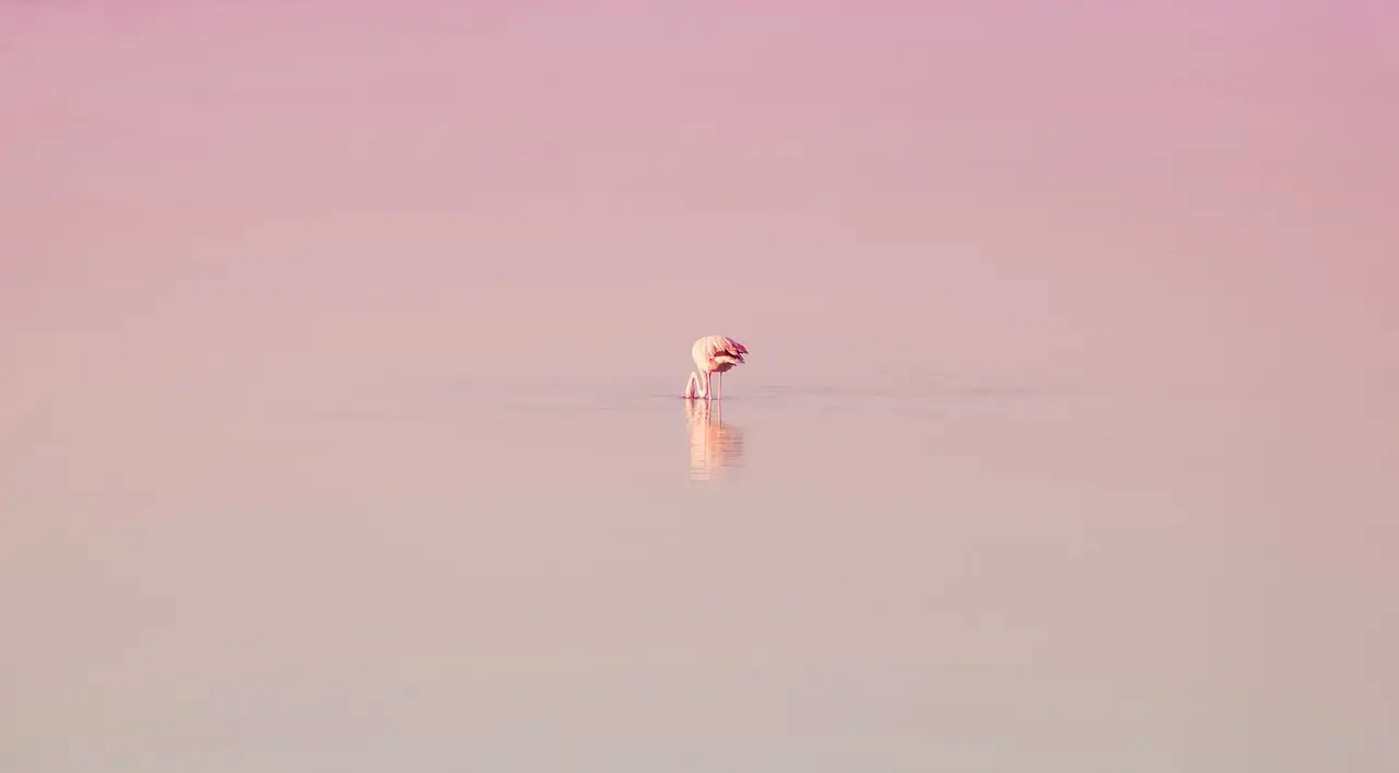 Rolig stemning i bløde farver